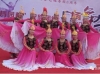 芙蓉舞韵舞蹈队《我从新疆来》